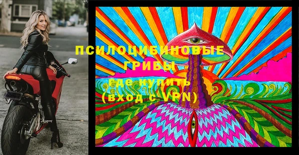 jwh Краснослободск