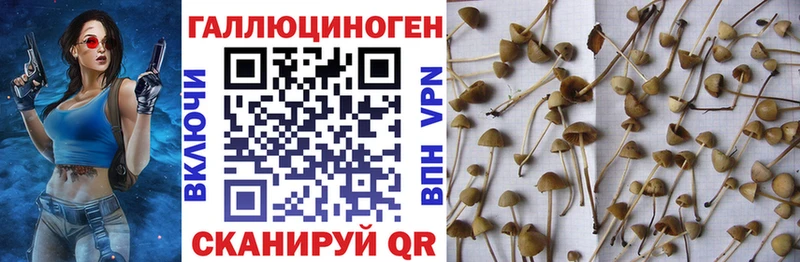 Галлюциногенные грибы ЛСД  Купить закладки  Бородино 